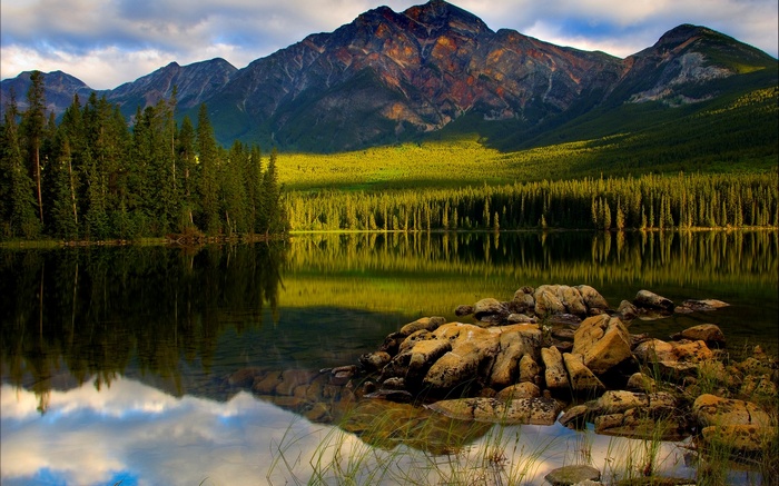 Mountain lake with pine forest and rocky shore