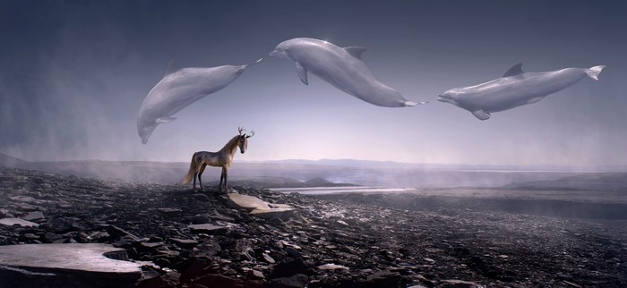 Fantasy art of dolphins and a horse in a landscape