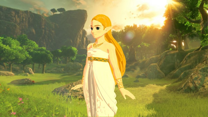 Princess Zelda from The Legend of Zelda: Breath of the Wild