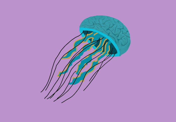Jellyfish with a brain on a purple background