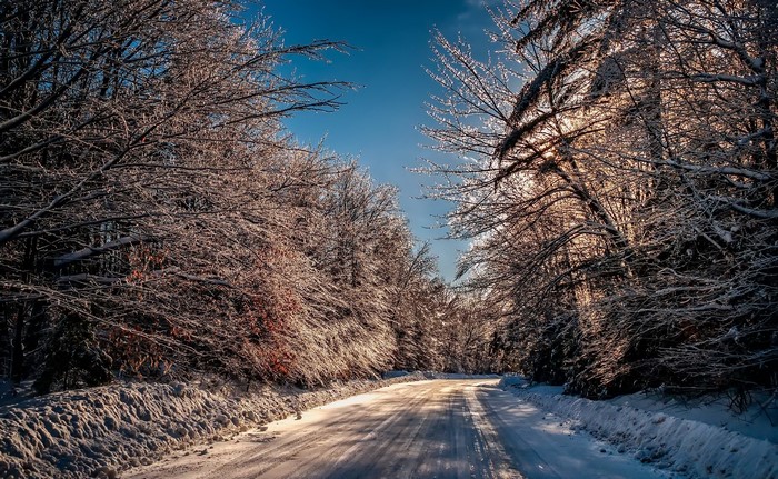 Snowy road through a sun-dappled winter forest