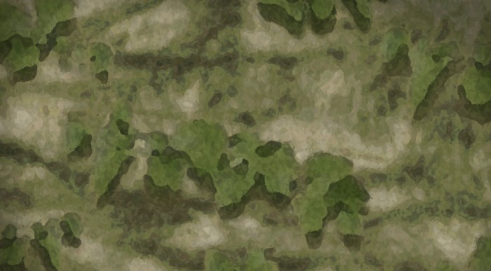 Green and beige camouflage pattern texture
