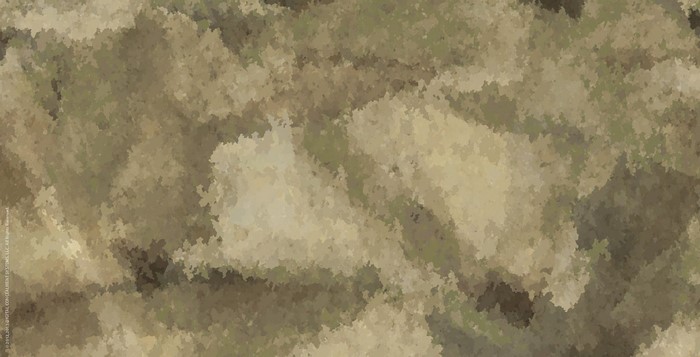Abstract camouflage texture pattern