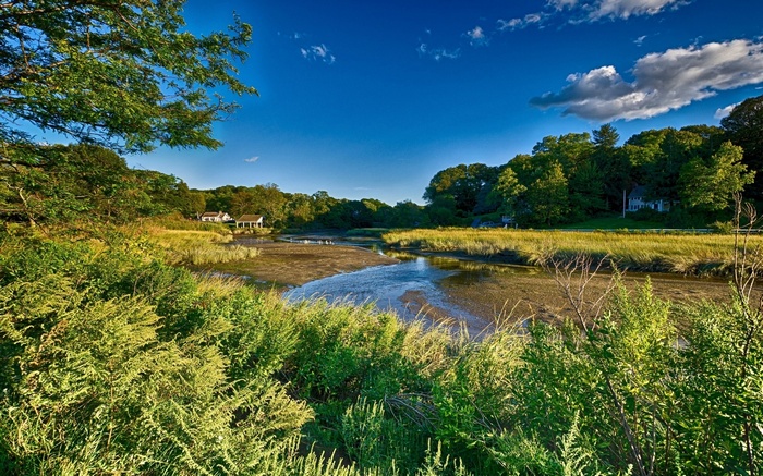 Marshland with houses and trees under blue sky