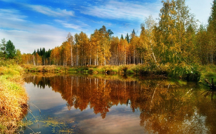 Autumn forest reflected in a calm river under a blue sky