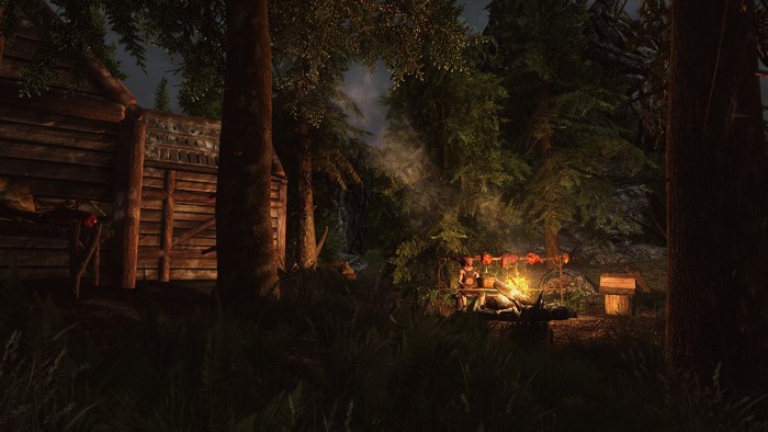 The Elder Scrolls V: Skyrim campfire scene