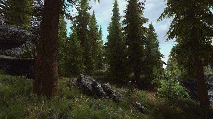 The Elder Scrolls V: Skyrim forest landscape