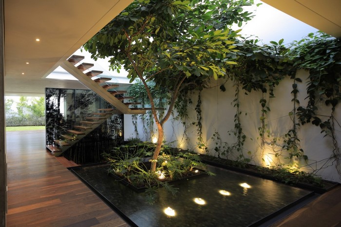 Modern interior with indoor plants and stairs