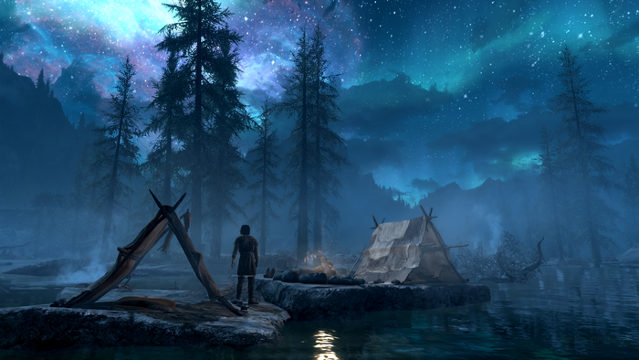 The Elder Scrolls V: Skyrim night camp scene