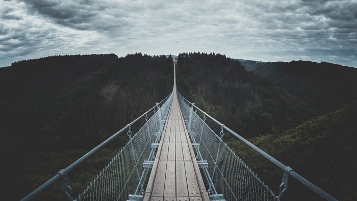 Suspension bridge over a forest valley