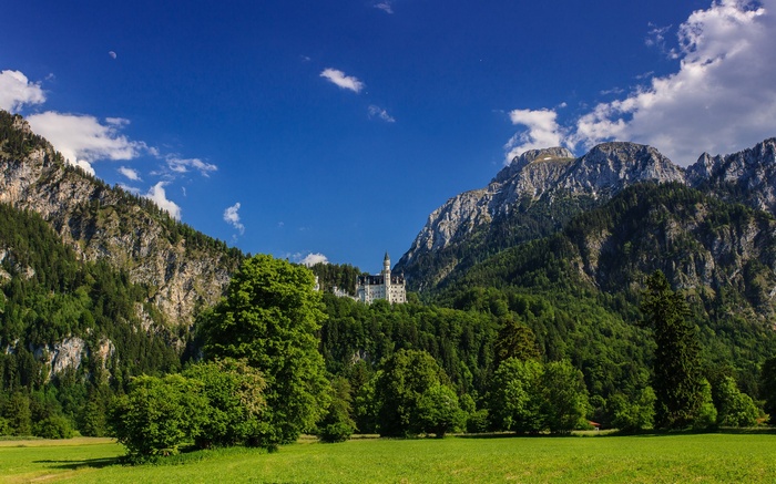 Neuschwanstein Castle in the Bavarian Alps
