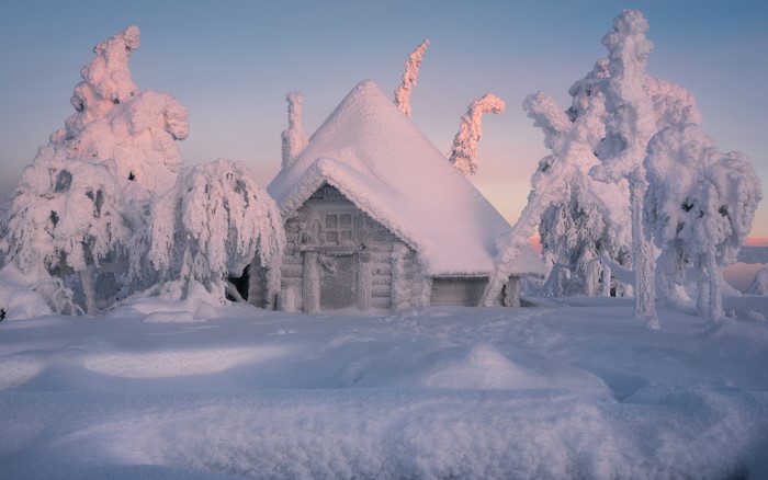Snow-covered cabin and trees in winter landscape