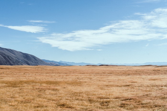 4K New Zealand landscape with mountains and field