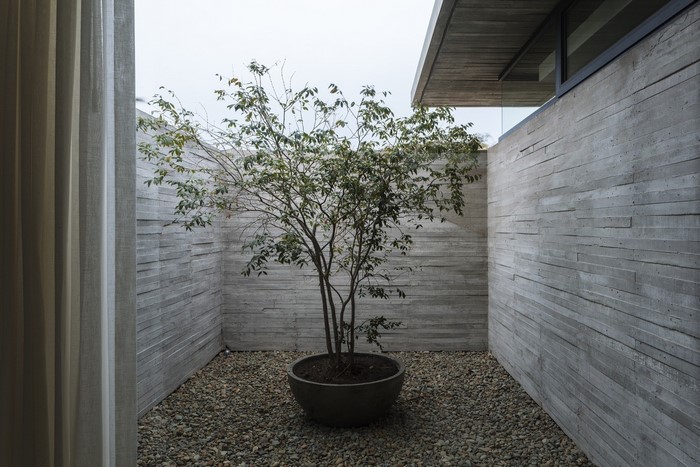 Courtyard with tree and concrete walls