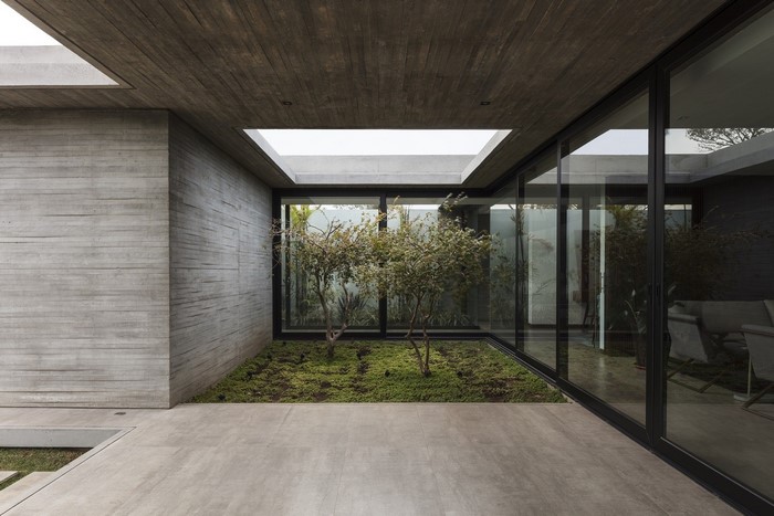 Modern concrete courtyard with indoor garden