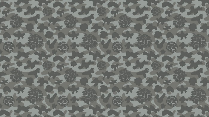 Gray camouflage pattern with Pokémon balls