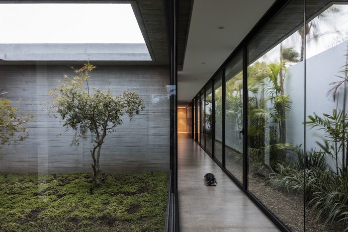 Modern architecture with a dog in a hallway