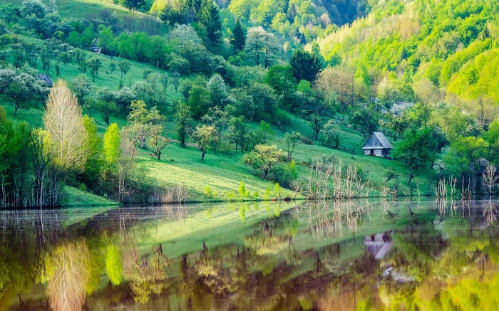 A small house on a green hillside overlooking a lake