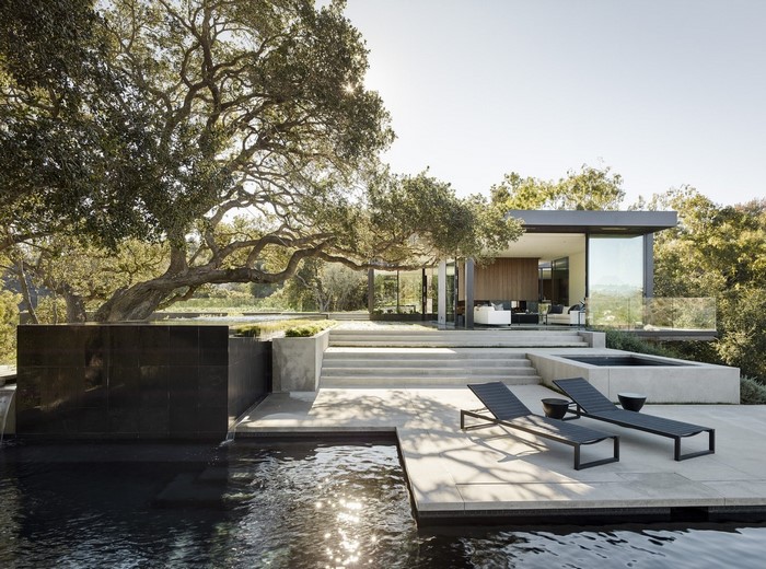 Modern house with swimming pool and large tree