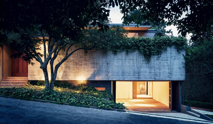 Modern concrete house with lush greenery