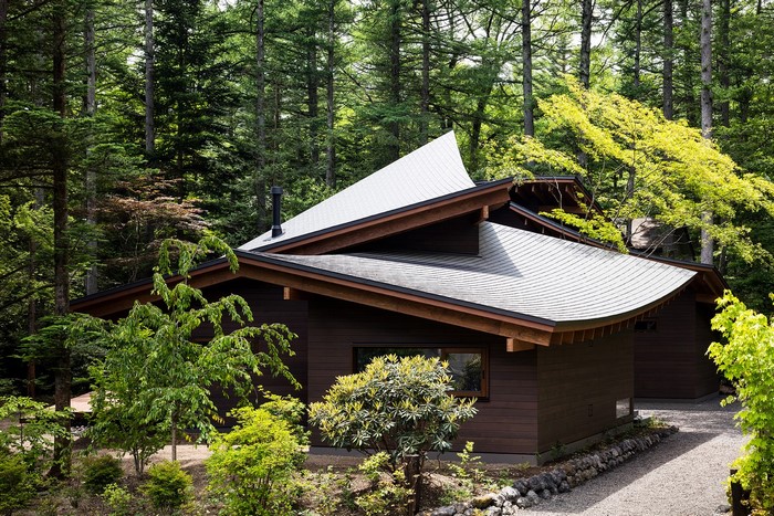 Modern house with curved roof in a forest