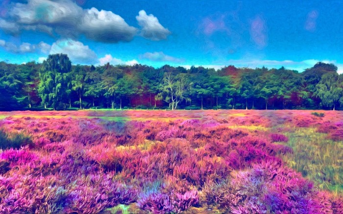 4K Landscape Digital Art of Heather Field and Forest