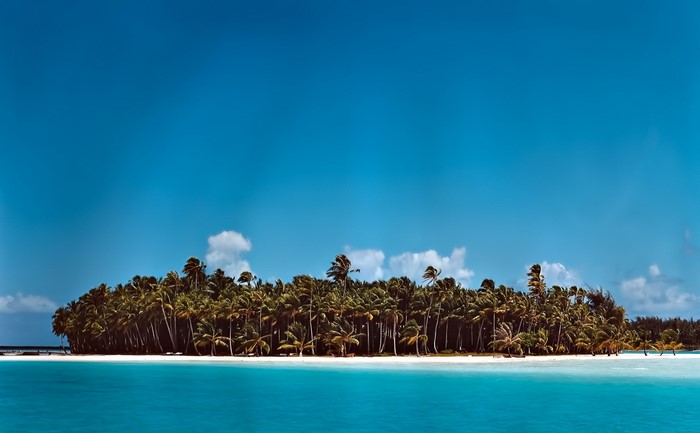 Tropical island with palm trees and turquoise water