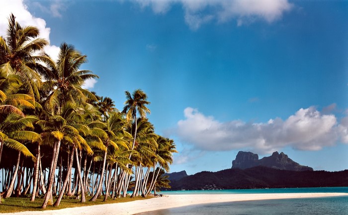 Tropical beach with palm trees and distant island