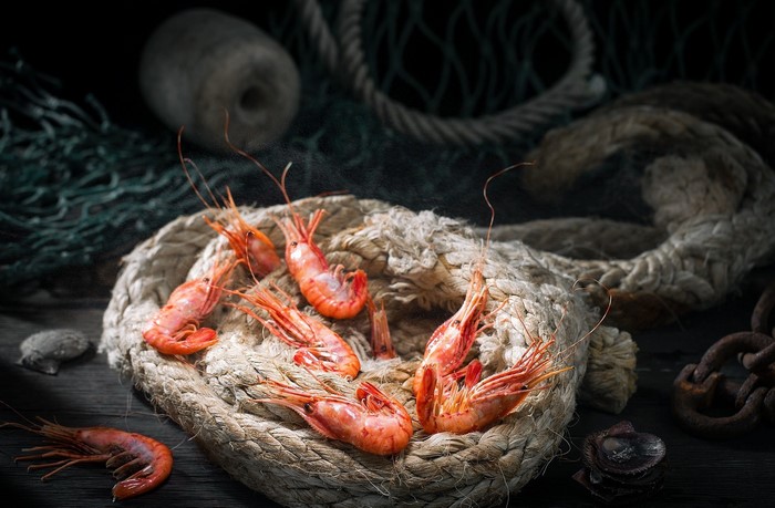 Shrimp on a rope with fishing gear