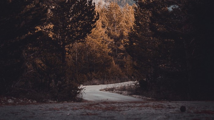Winding road through autumn forest