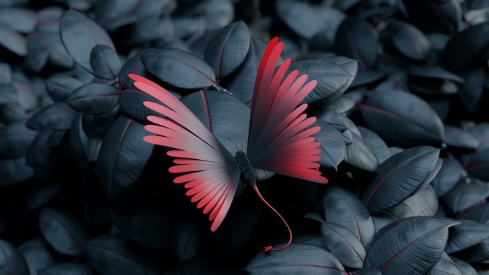 Red butterfly with a long tail on dark leaves