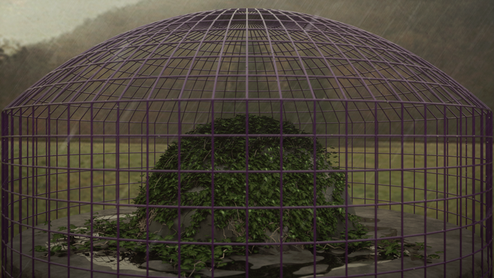 Ivy-covered rock inside a purple dome cage during rain