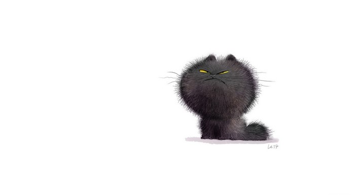 Grumpy black cat with yellow eyes