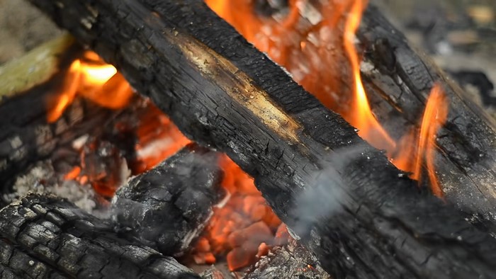 Close-up of burning wood in a campfire