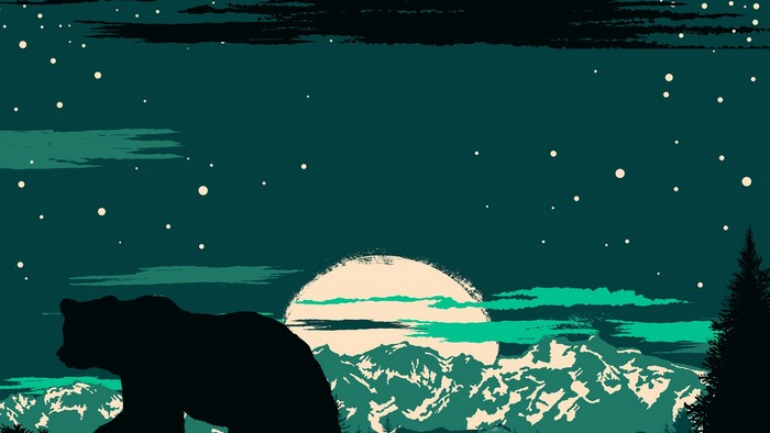 Bear silhouette against moonlit mountains and starry sky