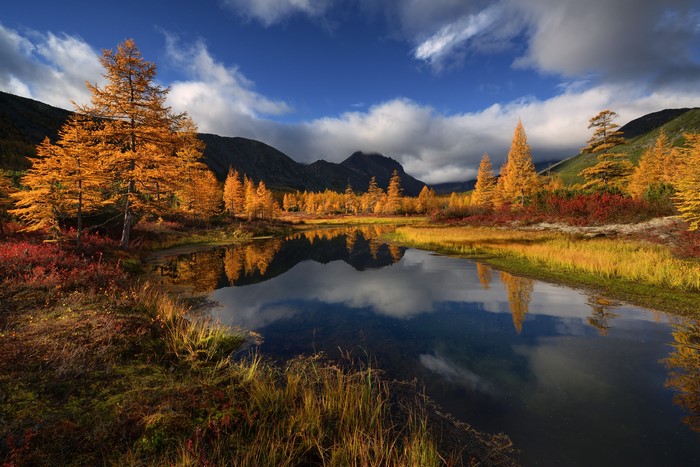 Autumn landscape with golden trees and reflection in water