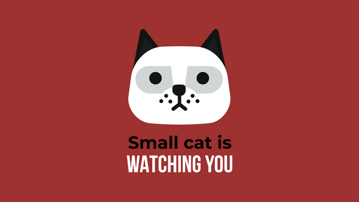 Small cat is watching you text