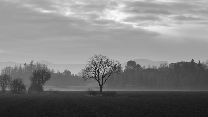 Monochrome landscape with bare trees and distant hills