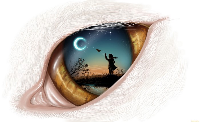 Artwork of a girl with a paper plane in an eye reflection