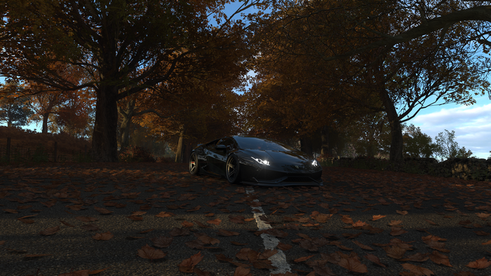 Black Lamborghini on a leaf-covered road in Forza Horizon 4