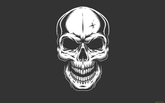 White skull illustration on dark background