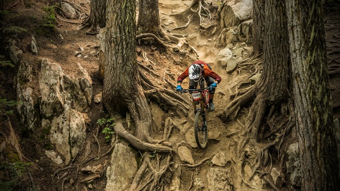 Mountain biker descending a rocky, root-filled trail