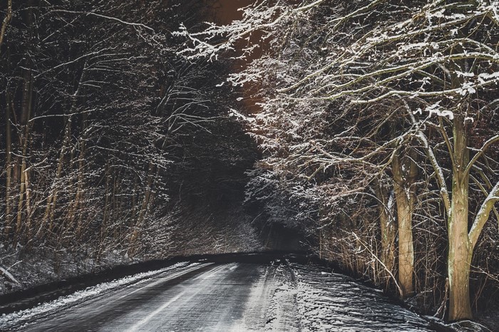 Snowy forest road at night