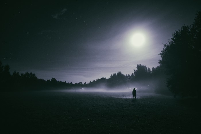 Person standing in a misty field under moonlight