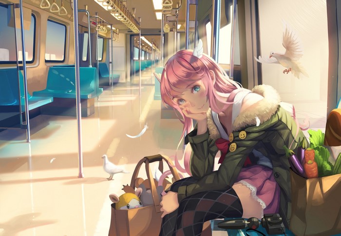 Anime girl with pink hair on a train with birds