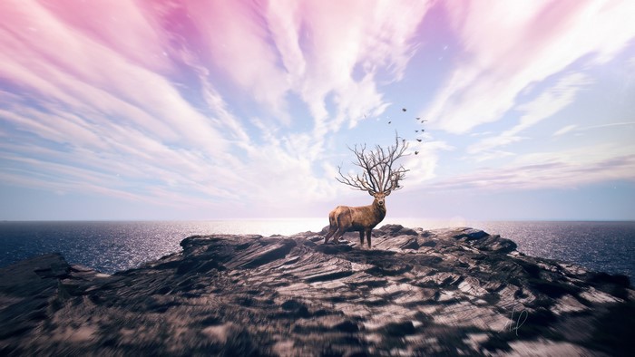 Deer with tree antlers on rocky shore with ocean and sky