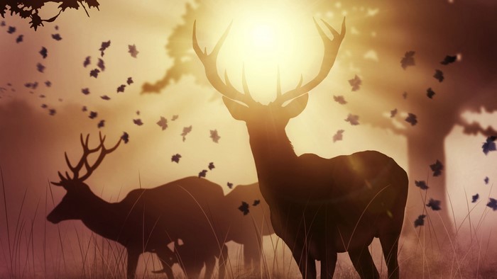Deer in a sunlit forest with falling leaves