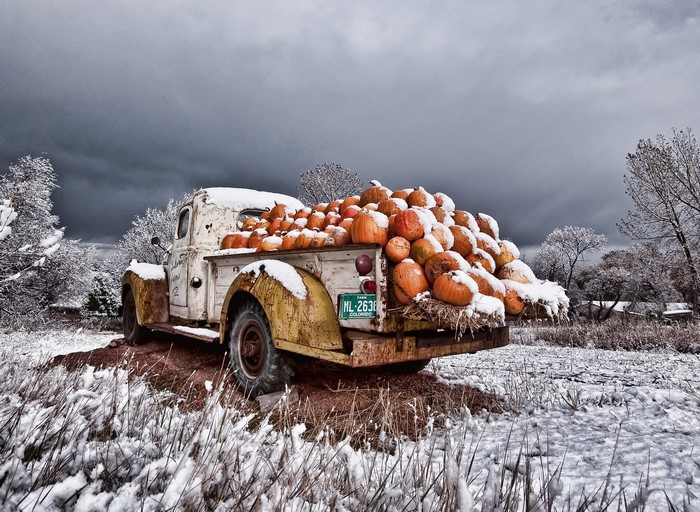 Old pickup truck loaded with pumpkins in the snow