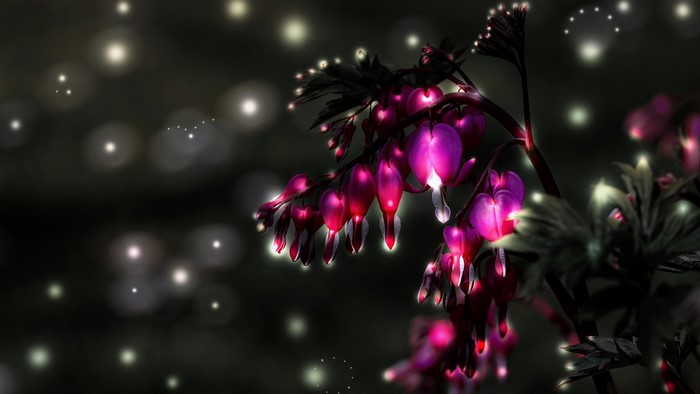 Bleeding Hearts flowers with glowing lights