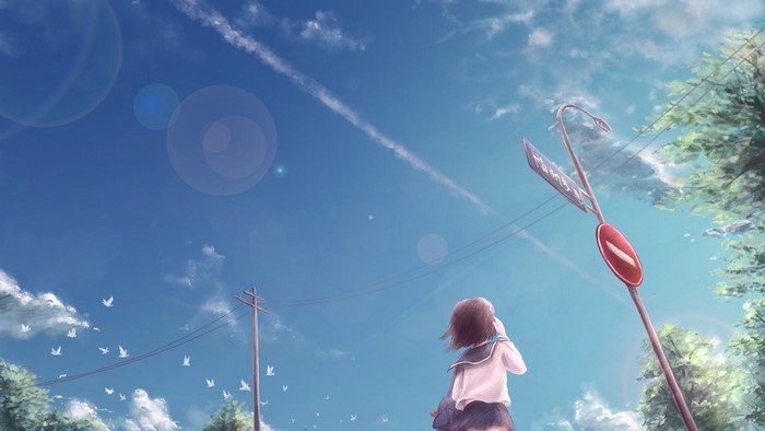 Anime girl looking at the sky with birds and clouds